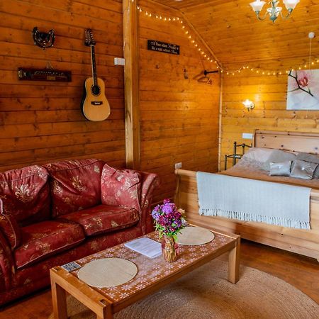 Blossom Cabin - Little Log Cabin In Wales Newtown  Exterior photo